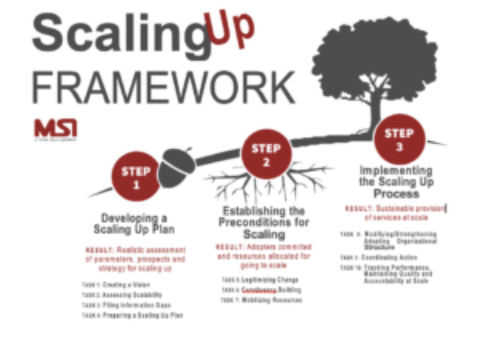 Tipping the Scales: Moving from Projects to Scalable Solutions in Fragile States