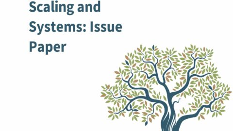 Scaling and Systems: Issues Paper