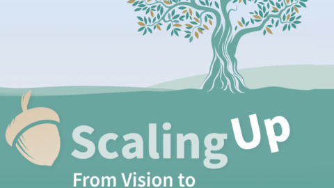 Scaling Toolkit for Practitioners: New 2021 Edition Available Now!