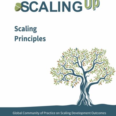 Scaling and Systems Change cover page