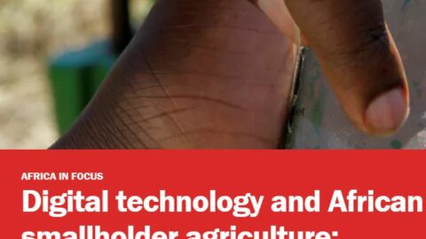 Digital technology and African smallholder agriculture: Implications for public policy