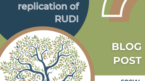 Intermediation in the replication of RUDI